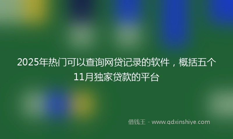 2025年热门可以查询网贷记录的软件,概括五个11月独家贷款的平台