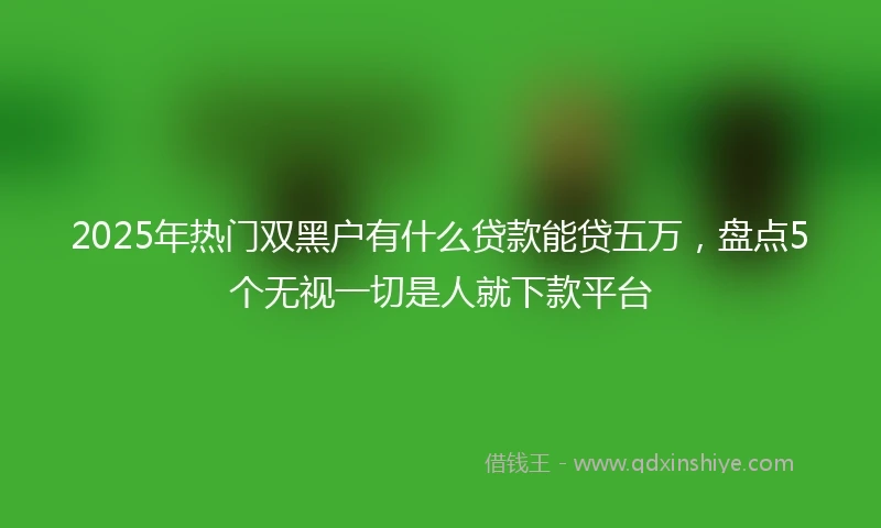 2025年热门双黑户有什么贷款能贷五万，盘点5个无视一切是人就下款平台