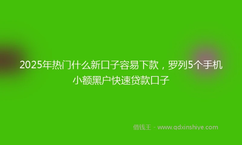2025年热门什么新口子容易下款，罗列5个手机小额黑户快速贷款口子
