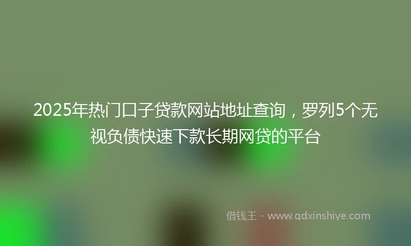2025年热门口子贷款网站地址查询，罗列5个无视负债快速下款长期网贷的平台