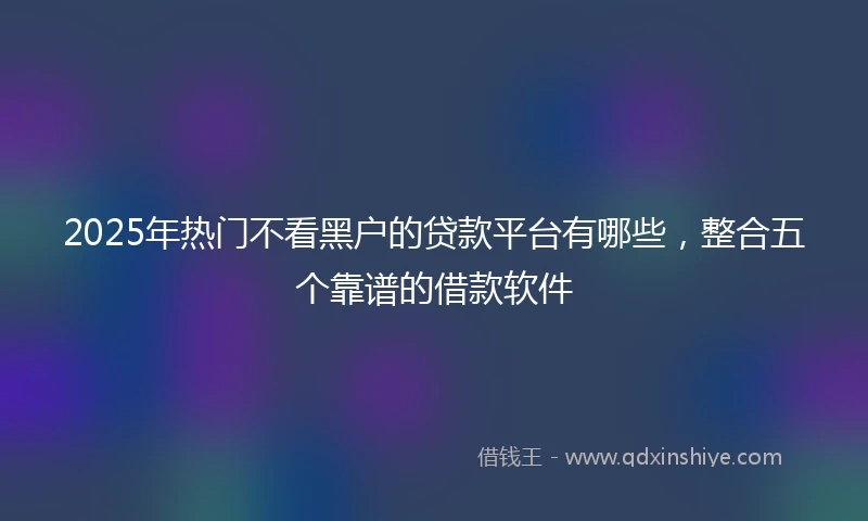 2025年热门不看黑户的贷款平台有哪些,整合五个靠谱的借款软件