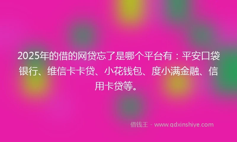 2025年的借的网贷忘了是哪个平台有：平安口袋银行、维信卡卡贷、小花钱包、度小满金融、信用卡贷等。