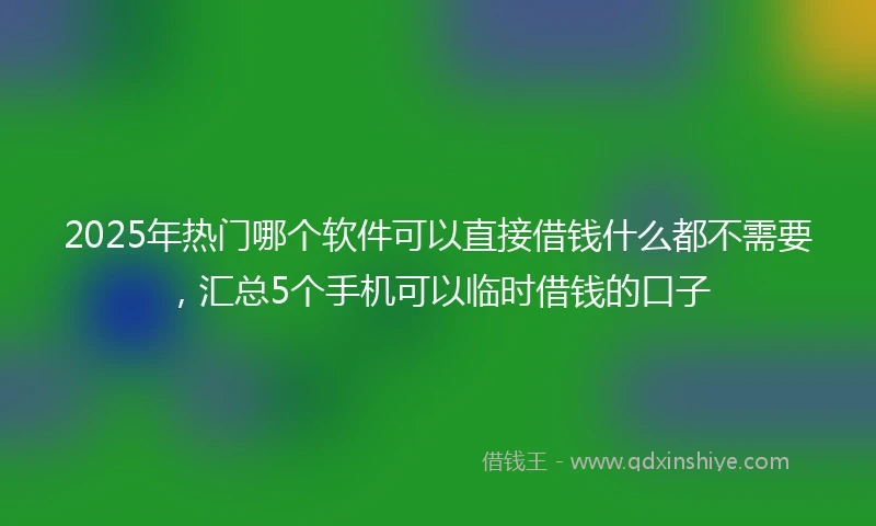 2025年热门哪个软件可以直接借钱什么都不需要，汇总5个手机可以临时借钱的口子