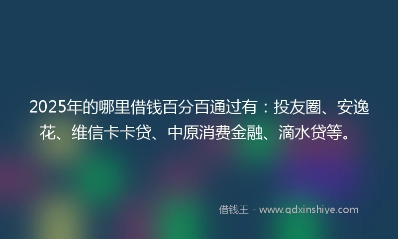 2025年的哪里借钱百分百通过有：投友圈、安逸花、维信卡卡贷、中原消费金融、滴水贷等。