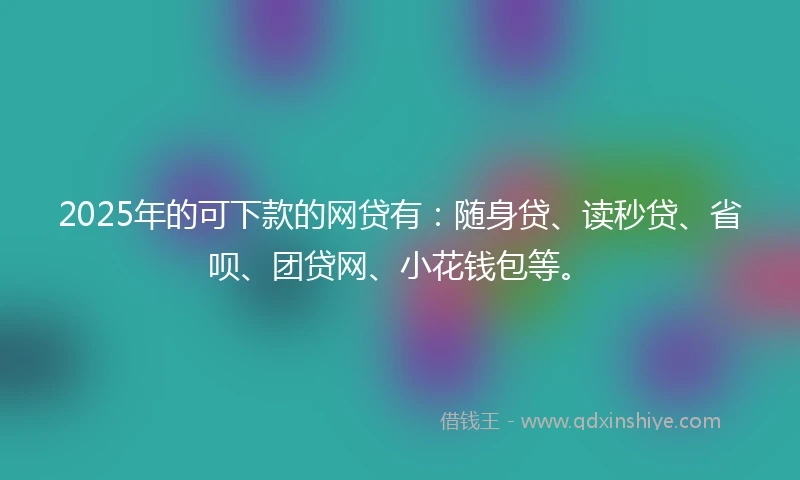 2025年的可下款的网贷有：随身贷、读秒贷、省呗、团贷网、小花钱包等。