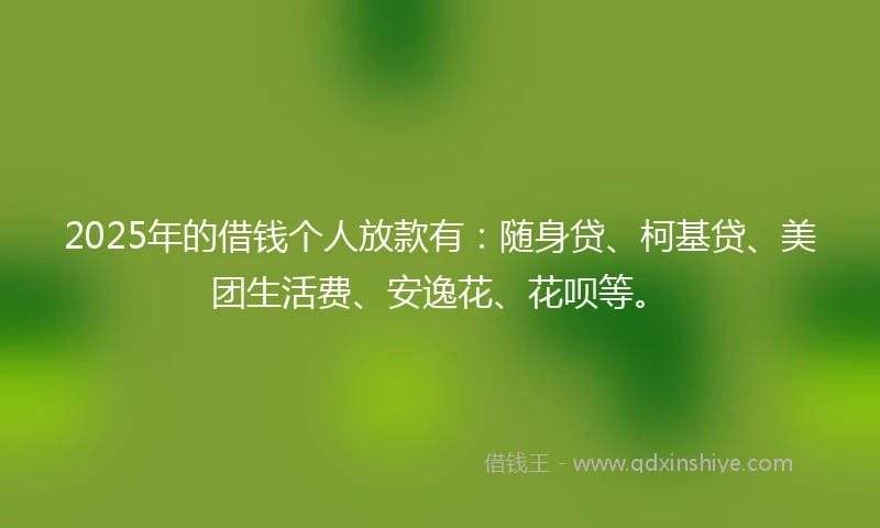 2025年的借钱个人放款有：随身贷、柯基贷、美团生活费、安逸花、花呗等。