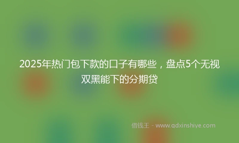 2025年热门包下款的口子有哪些，盘点5个无视双黑能下的分期贷