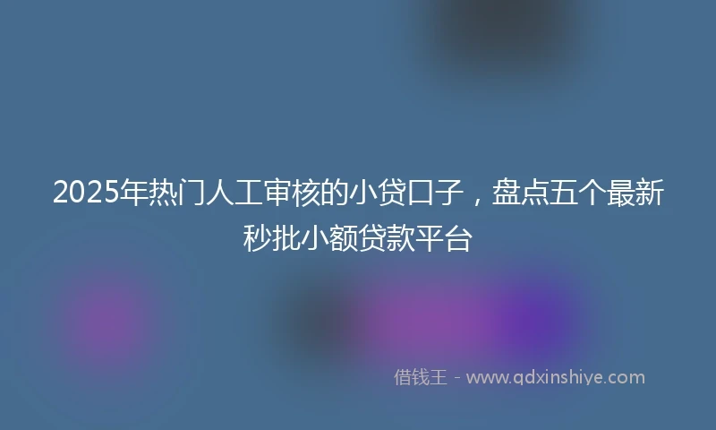 2025年热门人工审核的小贷口子，盘点五个最新秒批小额贷款平台