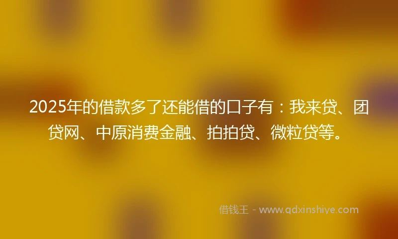 2025年的借款多了还能借的口子有：我来贷、团贷网、中原消费金融、拍拍贷、微粒贷等。