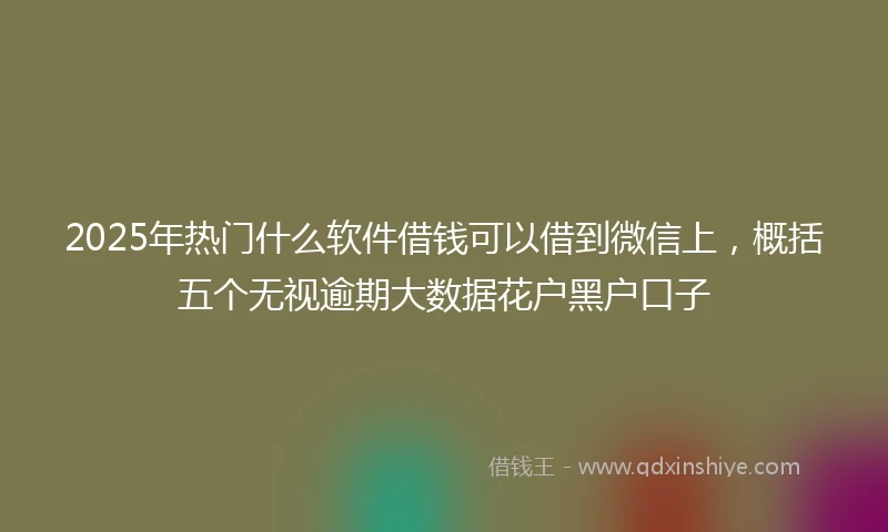 2025年热门什么软件借钱可以借到微信上，概括五个无视逾期大数据花户黑户口子