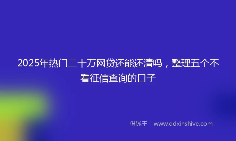 2025年热门二十万网贷还能还清吗，整理五个不看征信查询的口子