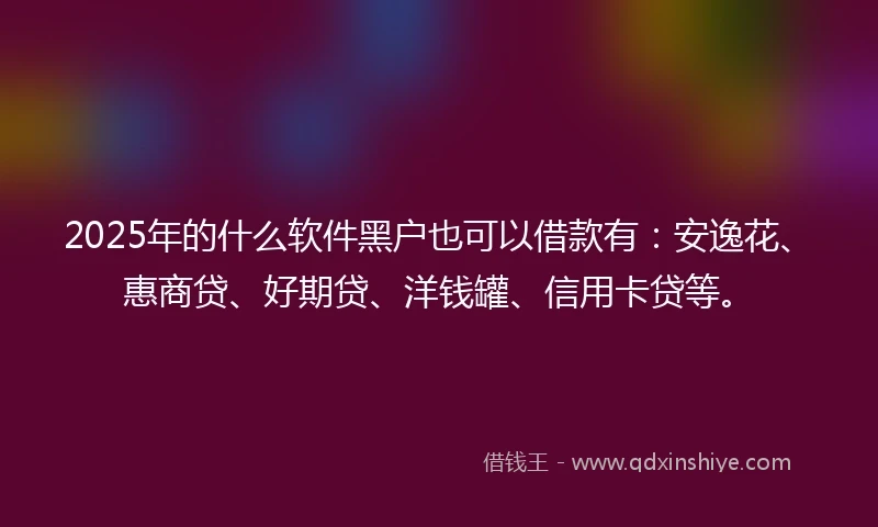 2025年的什么软件黑户也可以借款有：安逸花、惠商贷、好期贷、洋钱罐、信用卡贷等。
