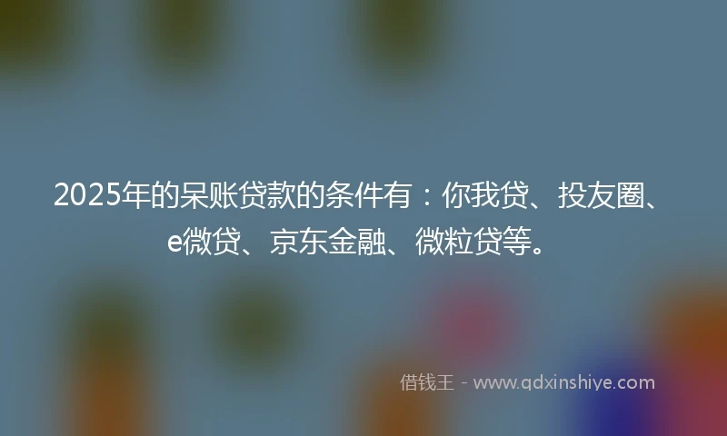 2025年的呆账贷款的条件有：你我贷、投友圈、e微贷、京东金融、微粒贷等。