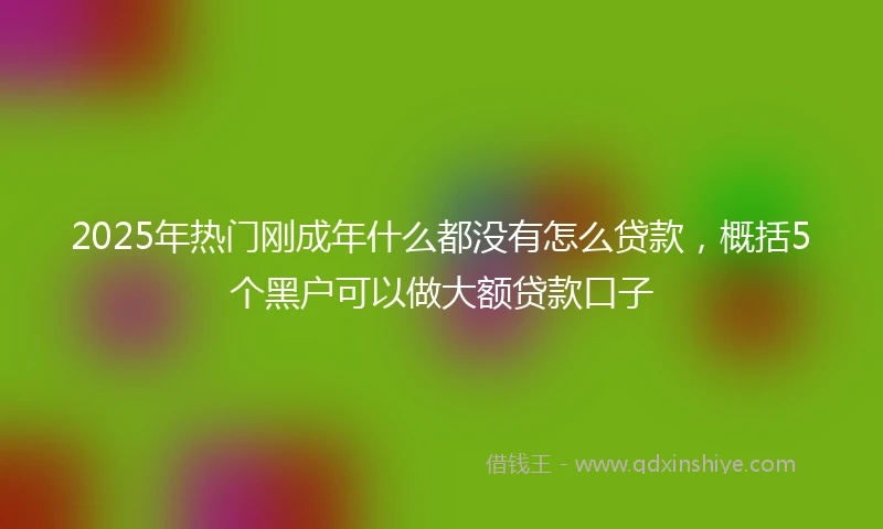 2025年热门刚成年什么都没有怎么贷款,概括5个黑户可以做大额贷款口子