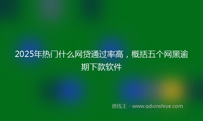 2025年热门什么网贷通过率高，概括五个网黑逾期下款软件