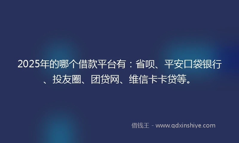 2025年的哪个借款平台有：省呗、平安口袋银行、投友圈、团贷网、维信卡卡贷等。