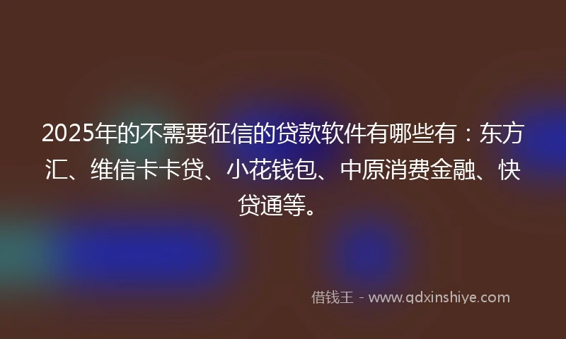 2025年的不需要征信的贷款软件有哪些有：东方汇、维信卡卡贷、小花钱包、中原消费金融、快贷通等。