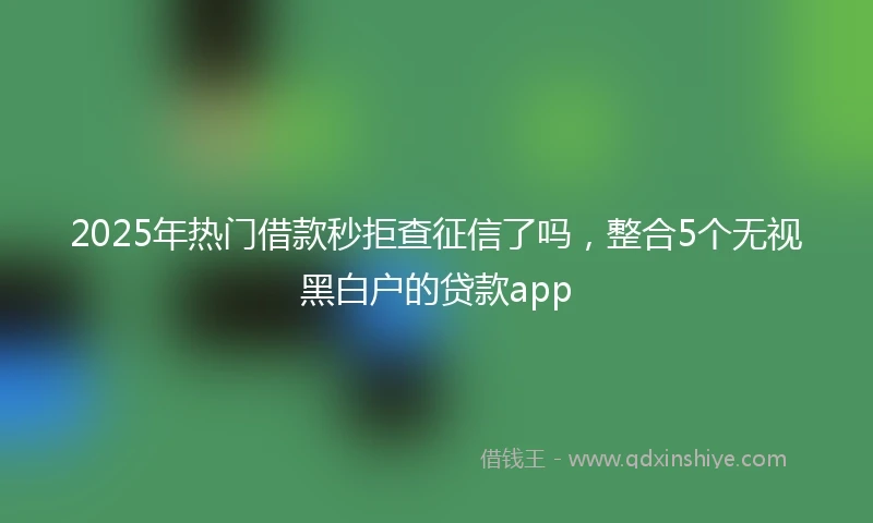 2025年热门借款秒拒查征信了吗,整合5个无视黑白户的贷款app