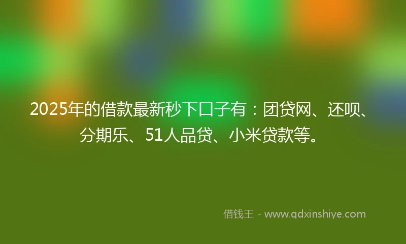 2025年的借款最新秒下口子有：团贷网、还呗、分期乐、51人品贷、小米贷款等。