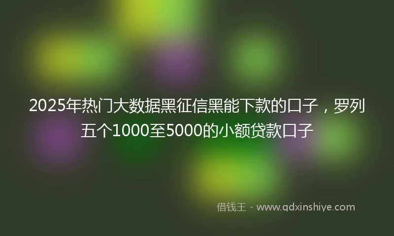 2025年热门大数据黑征信黑能下款的口子，罗列五个1000至5000的小额贷款口子