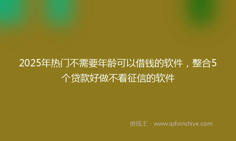 2025年热门不需要年龄可以借钱的软件,整合5个贷款好做不看征信的软件