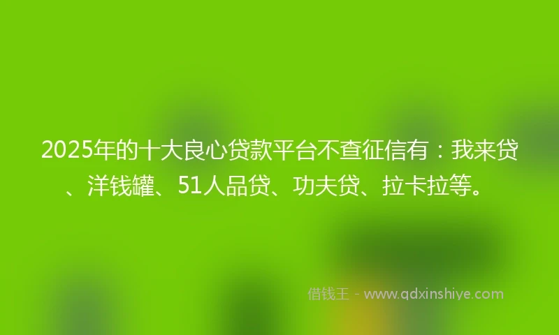 2025年的十大良心贷款平台不查征信有：我来贷、洋钱罐、51人品贷、功夫贷、拉卡拉等。