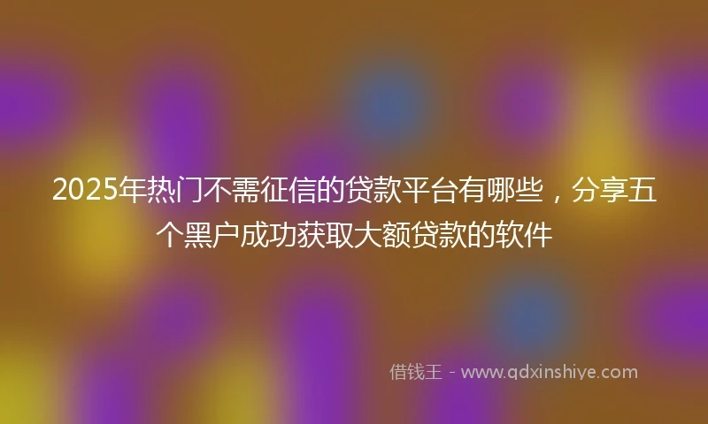 2025年热门不需征信的贷款平台有哪些，分享五个黑户成功获取大额贷款的软件