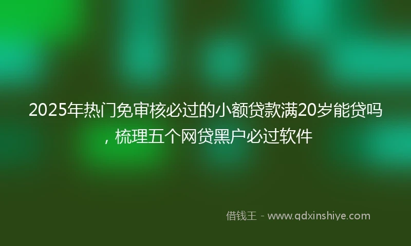 2025年热门免审核必过的小额贷款满20岁能贷吗，梳理五个网贷黑户必过软件