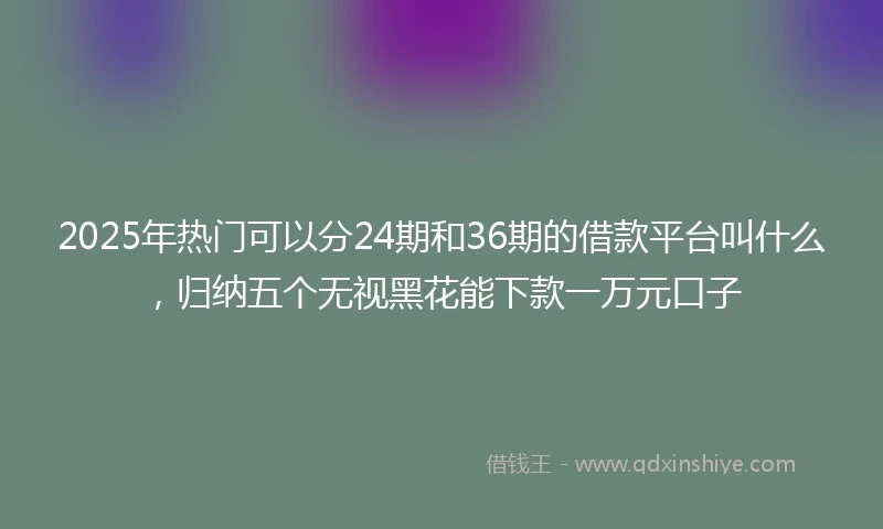 2025年热门可以分24期和36期的借款平台叫什么，归纳五个无视黑花能下款一万元口子