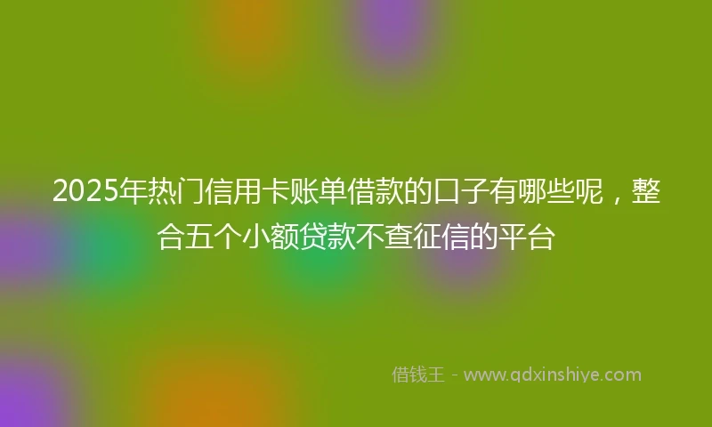 2025年热门信用卡账单借款的口子有哪些呢，整合五个小额贷款不查征信的平台