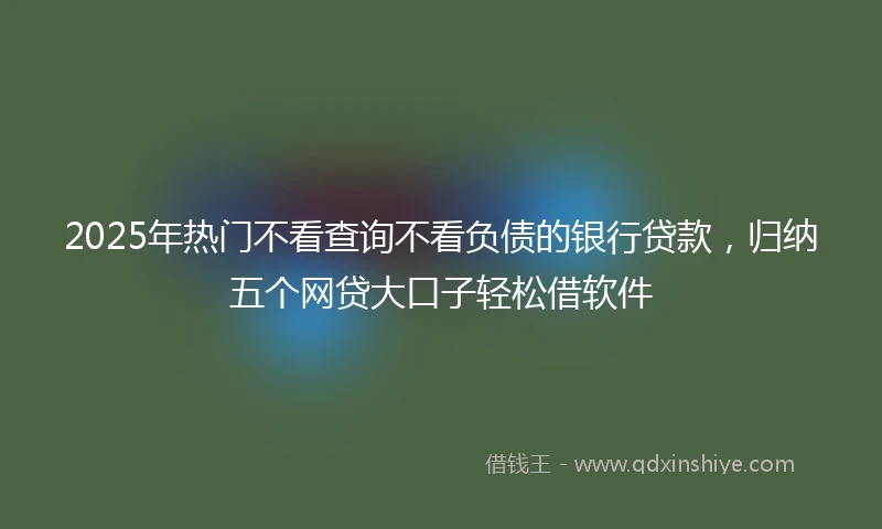 2025年热门不看查询不看负债的银行贷款，归纳五个网贷大口子轻松借软件