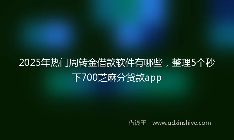 2025年热门周转金借款软件有哪些，整理5个秒下700芝麻分贷款app