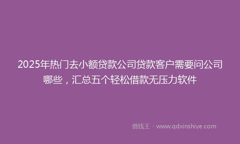 2025年热门去小额贷款公司贷款客户需要问公司哪些，汇总五个轻松借款无压力软件