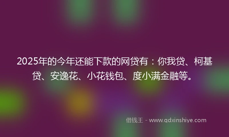 2025年的今年还能下款的网贷有：你我贷、柯基贷、安逸花、小花钱包、度小满金融等。