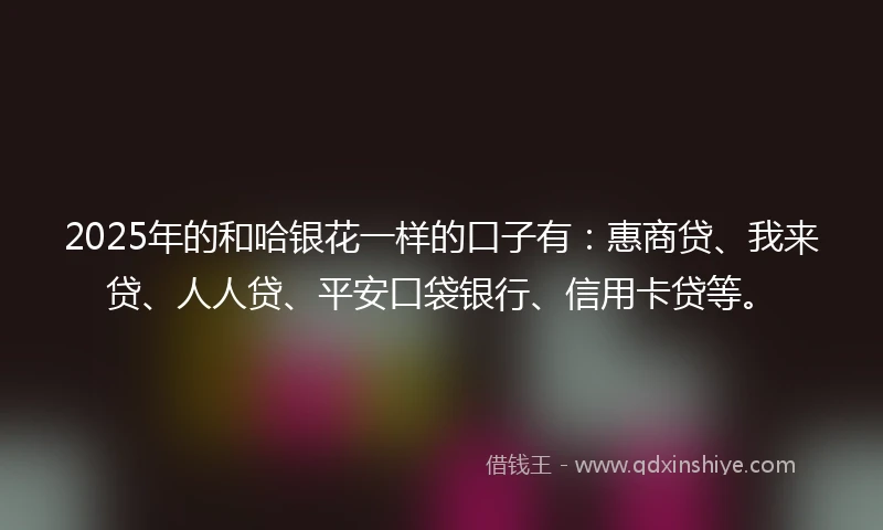 2025年的和哈银花一样的口子有：惠商贷、我来贷、人人贷、平安口袋银行、信用卡贷等。