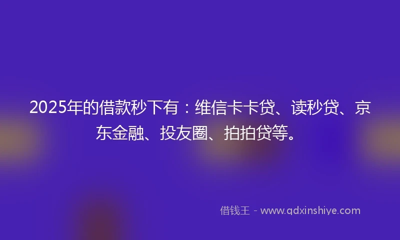 2025年的借款秒下有:维信卡卡贷、读秒贷、京东金融、投友圈、拍拍贷等。