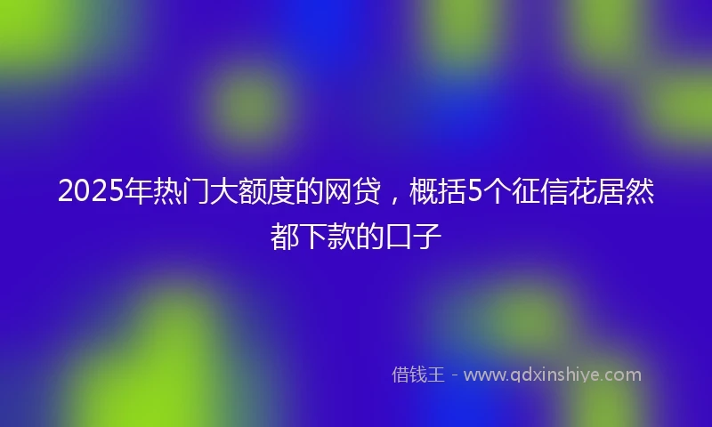 2025年热门大额度的网贷，概括5个征信花居然都下款的口子