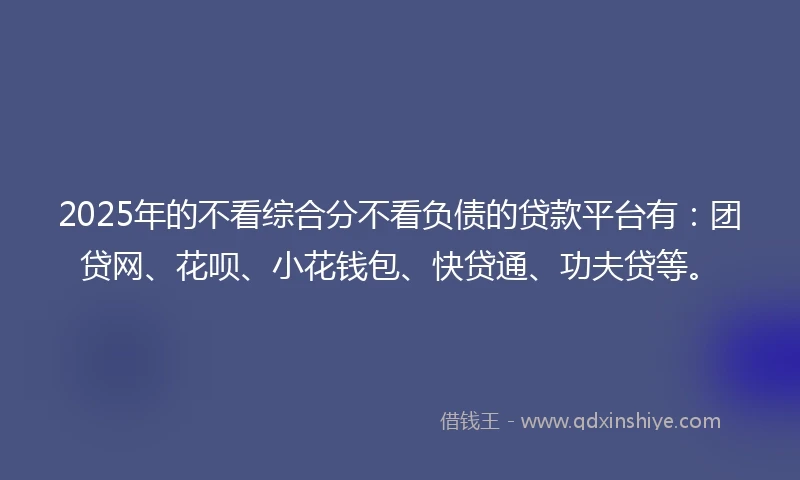 2025年的不看综合分不看负债的贷款平台有：团贷网、花呗、小花钱包、快贷通、功夫贷等。