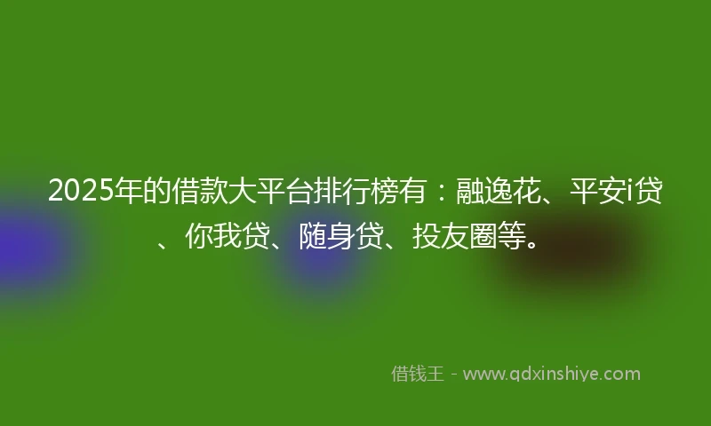 2025年的借款大平台排行榜有：融逸花、平安i贷、你我贷、随身贷、投友圈等。