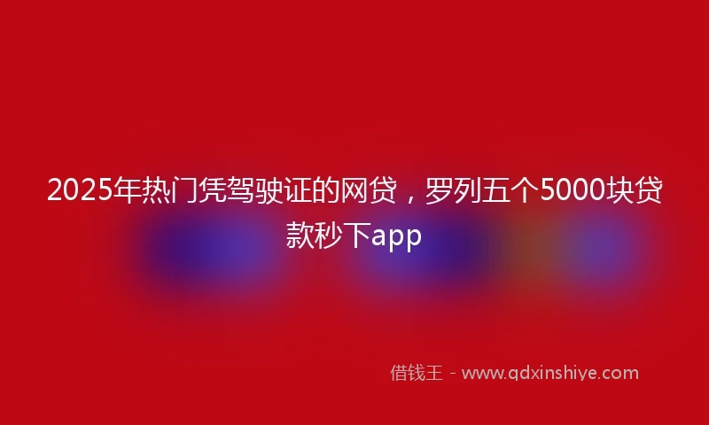 2025年热门凭驾驶证的网贷，罗列五个5000块贷款秒下app