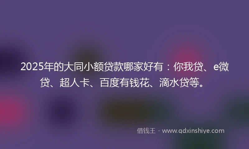 2025年的大同小额贷款哪家好有：你我贷、e微贷、超人卡、百度有钱花、滴水贷等。