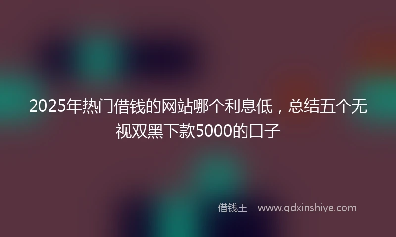 2025年热门借钱的网站哪个利息低，总结五个无视双黑下款5000的口子