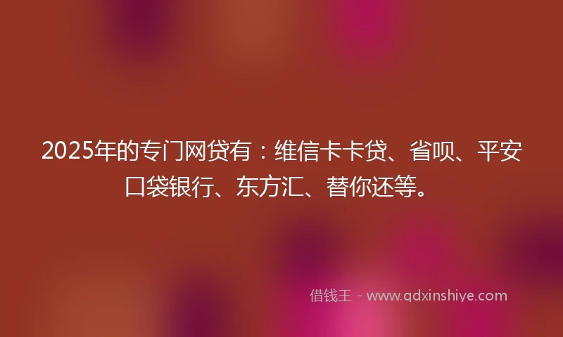 2025年的专门网贷有：维信卡卡贷、省呗、平安口袋银行、东方汇、替你还等。