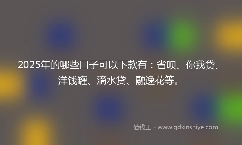 2025年的哪些口子可以下款有：省呗、你我贷、洋钱罐、滴水贷、融逸花等。