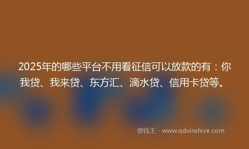 2025年的哪些平台不用看征信可以放款的有：你我贷、我来贷、东方汇、滴水贷、信用卡贷等。