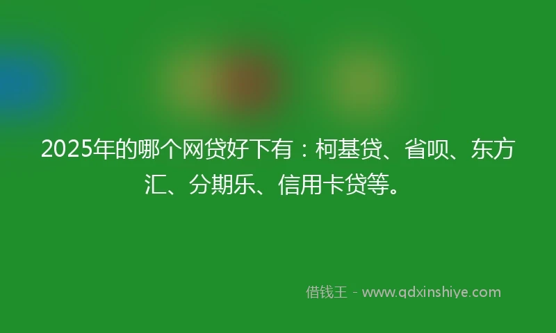 2025年的哪个网贷好下有：柯基贷、省呗、东方汇、分期乐、信用卡贷等。