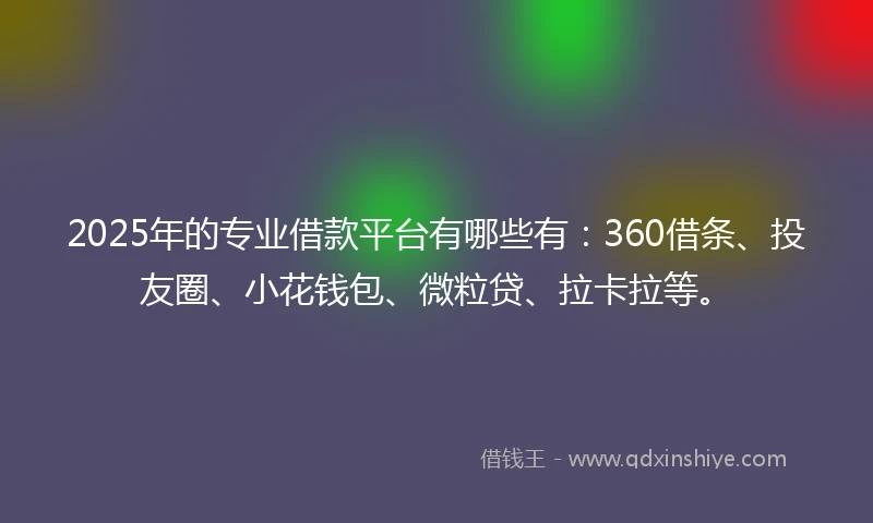 2025年的专业借款平台有哪些有：360借条、投友圈、小花钱包、微粒贷、拉卡拉等。