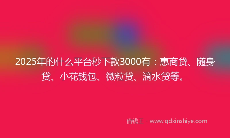 2025年的什么平台秒下款3000有:惠商贷、随身贷、小花钱包、微粒贷、滴水贷等。