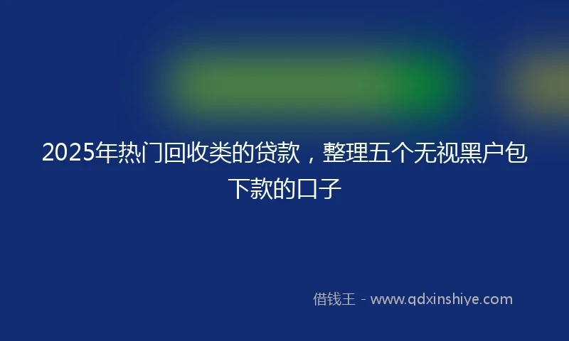 2025年热门回收类的贷款，整理五个无视黑户包下款的口子