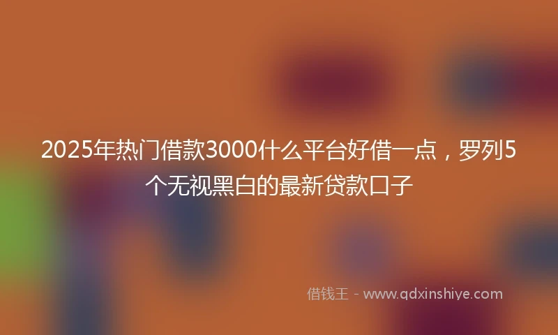 2025年热门借款3000什么平台好借一点，罗列5个无视黑白的最新贷款口子